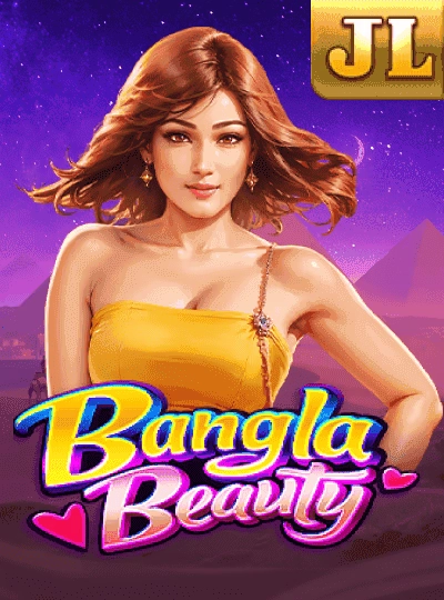Bingo 90 ball game cover
